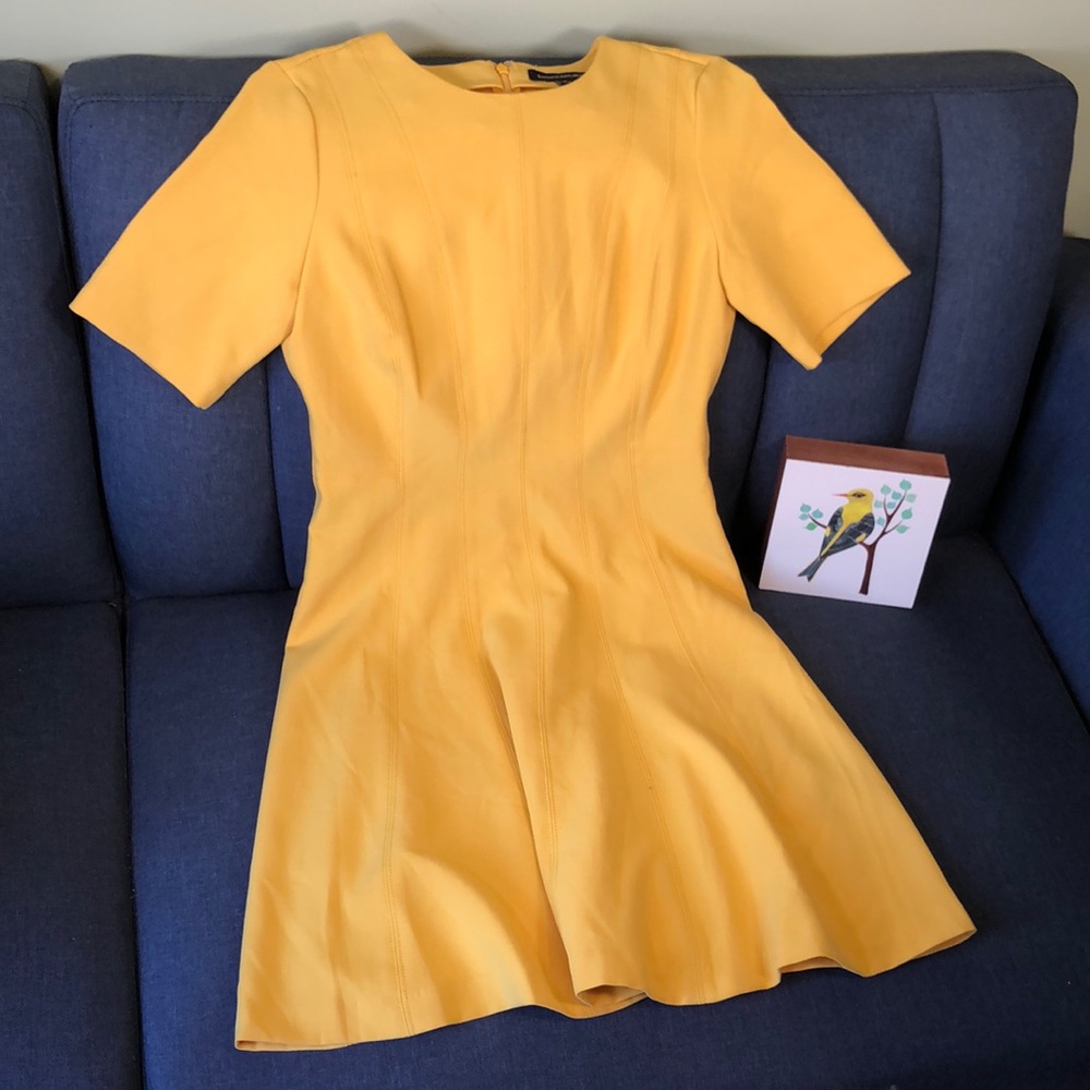 Banana Republic Spring Yellow piped seam dress.
